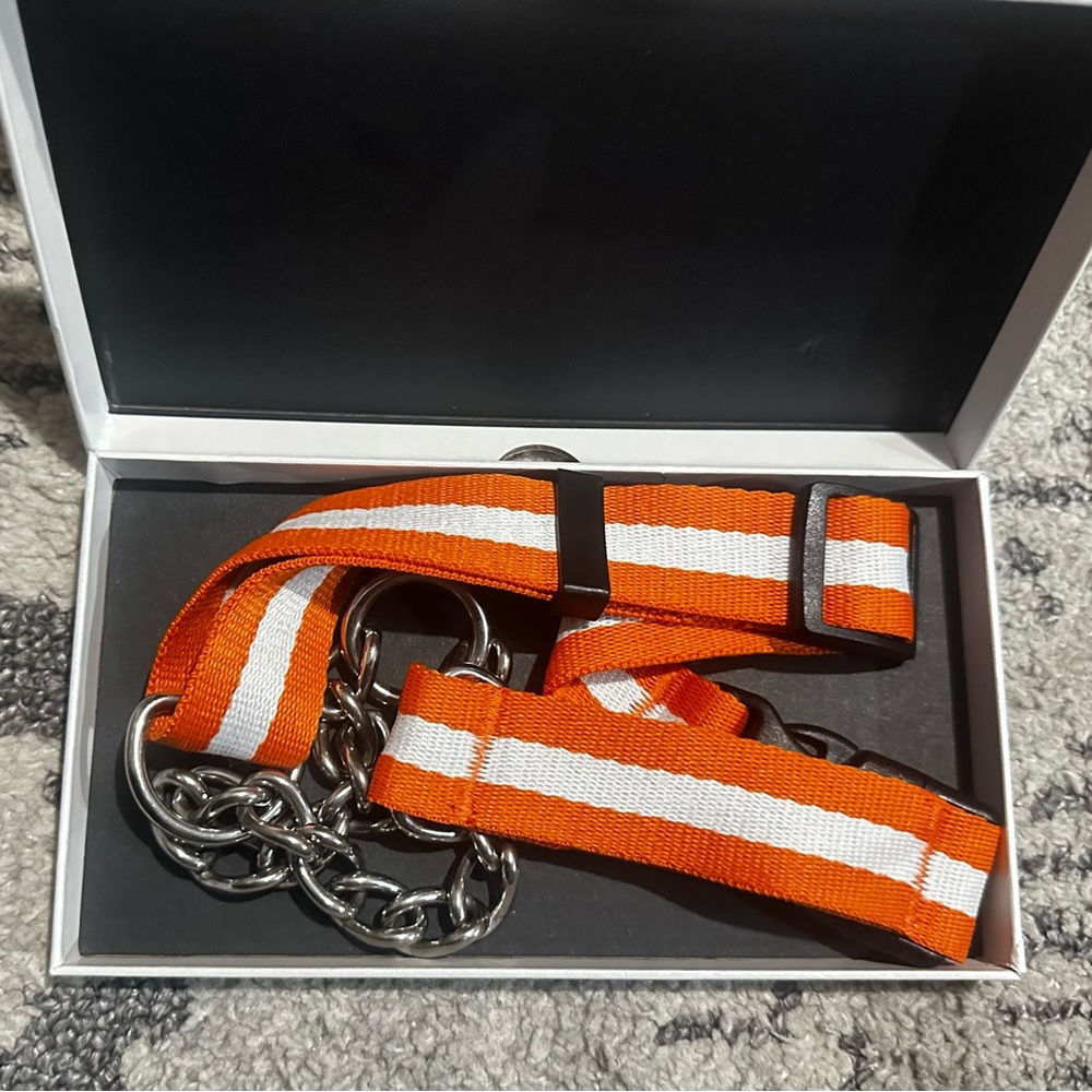Dog Collar Nylon and Stainless Steel